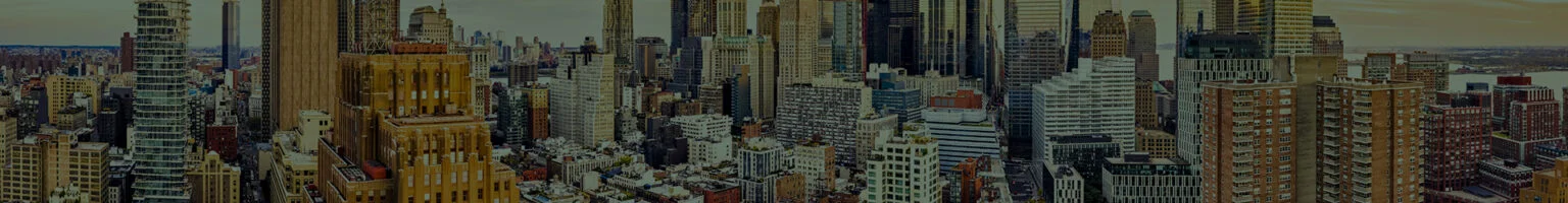 New York City cityscape shot from above